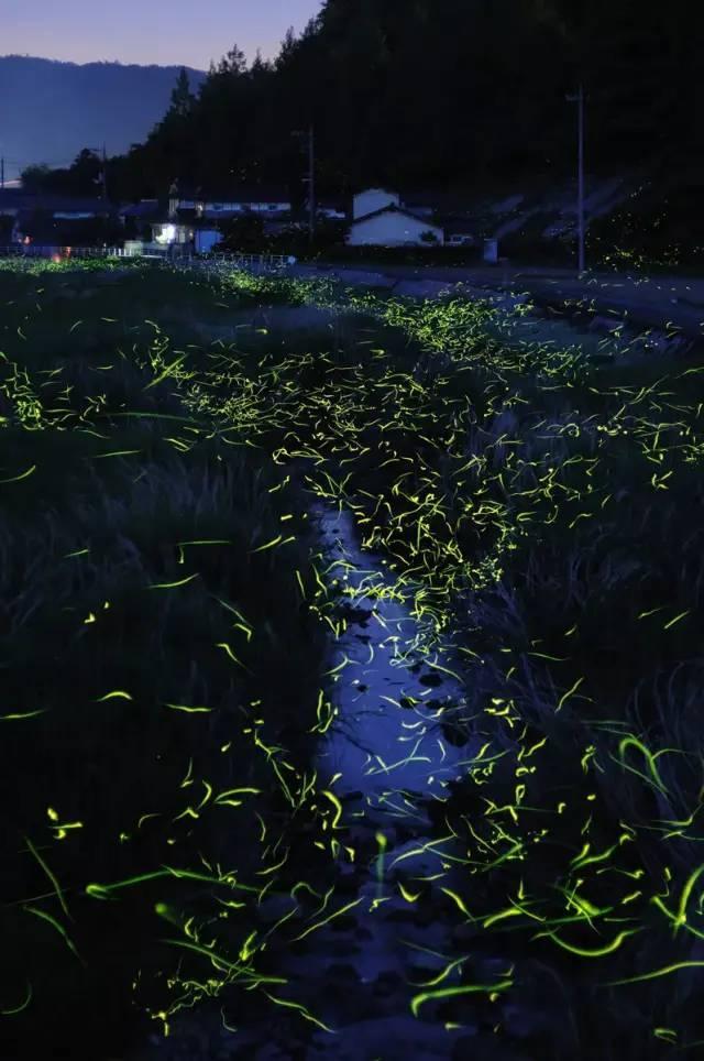 燃烧吧大脑免广告最新版